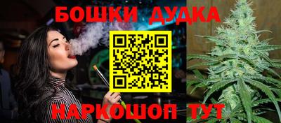 индика Волжск