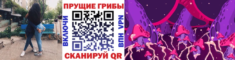наркота  Ульяновск  Псилоцибиновые грибы ЛСД 